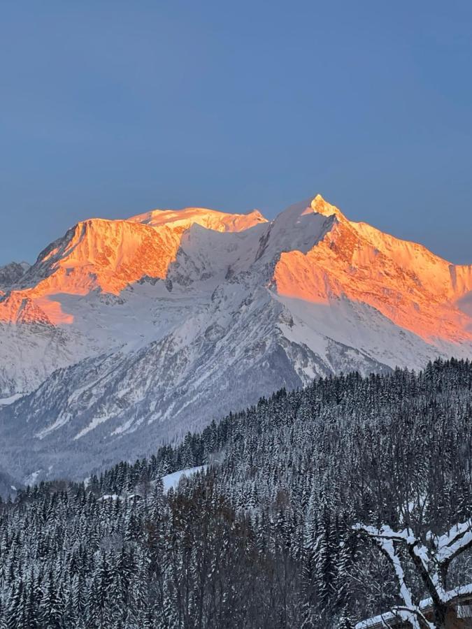 Vue Splendide Mont Blanc Saint-Gervais-les-Bains Exterior foto
